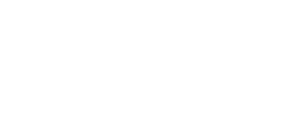 Baldassari Advisory twenty five year Beyond Investing